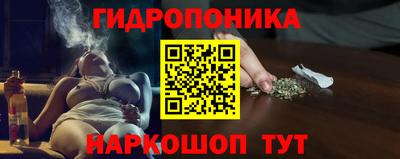 шишки Изобильный