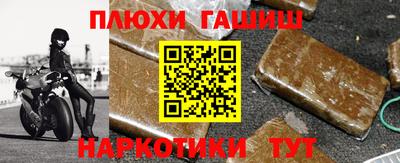 шишки Изобильный