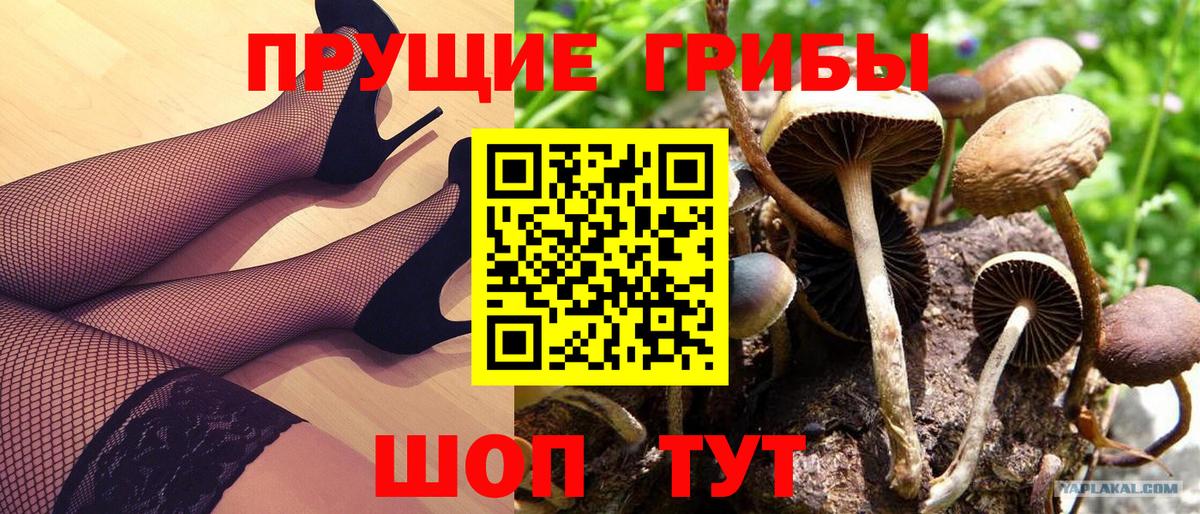 Галлюциногенные грибы MAGIC MUSHROOMS Великий Новгород